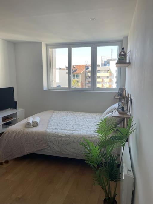 Studio Cosy Rue Alexander Taylor, Wifi, 2 Pers Pau Esterno foto